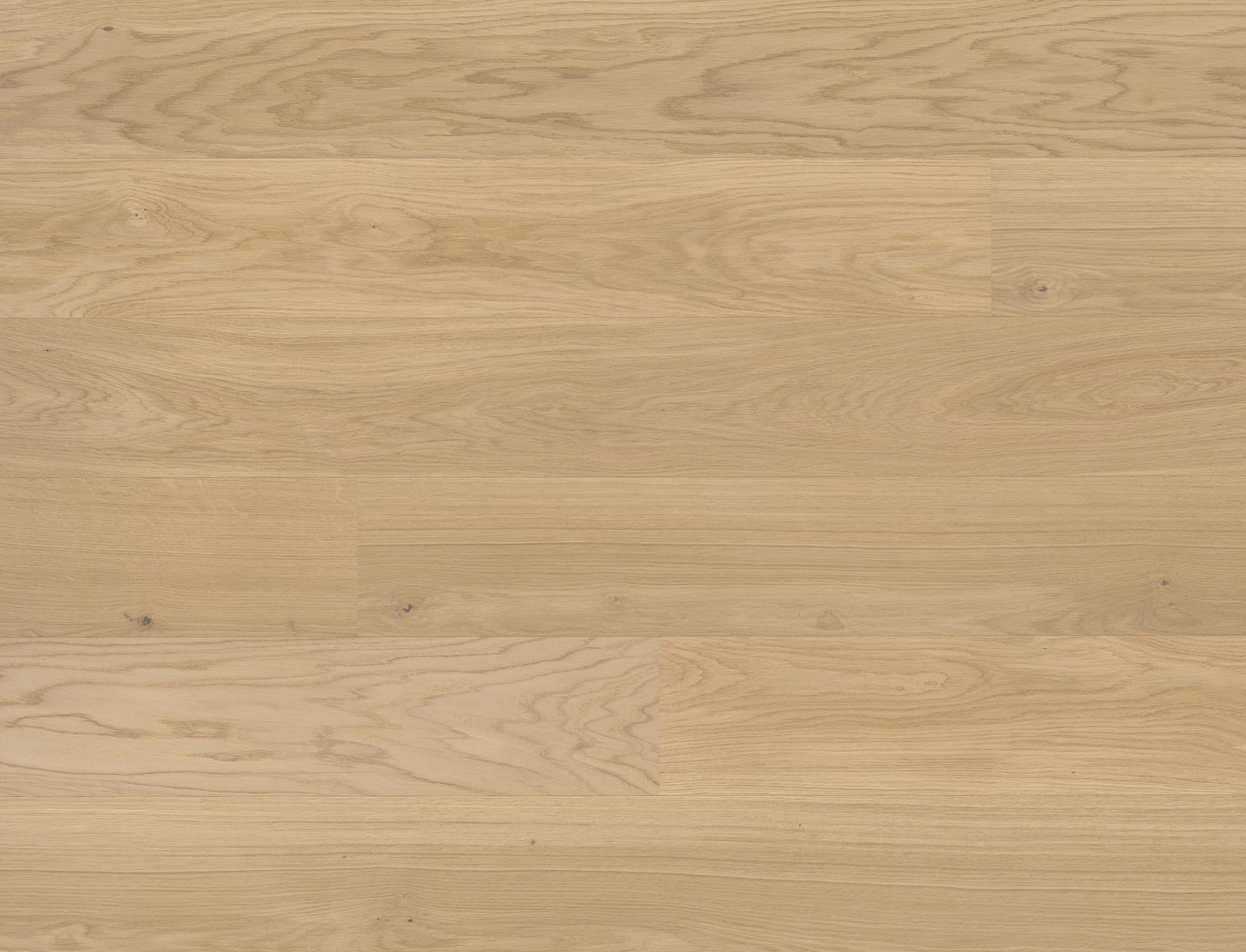 Studiopark | Eiche | Crema