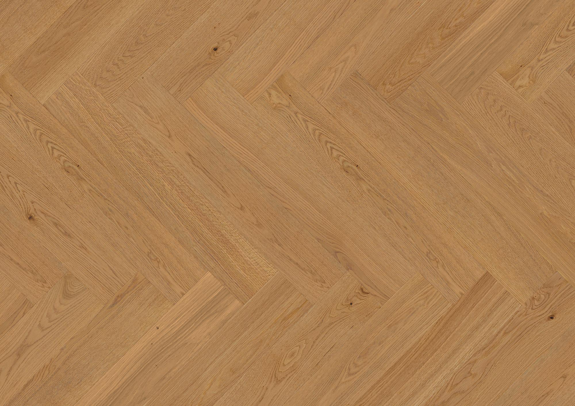 Vectorpark | Eiche | Natur