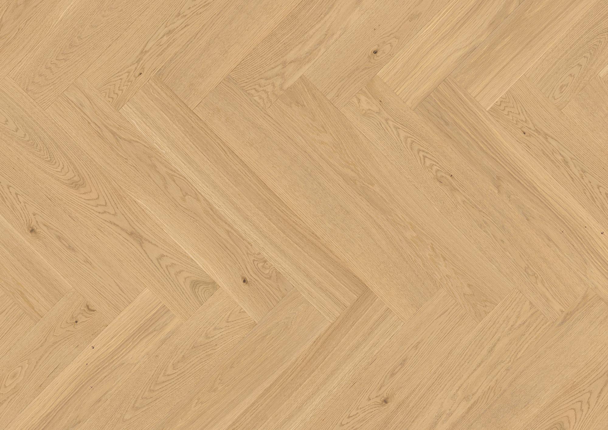 Vectorpark | Eiche | Crema