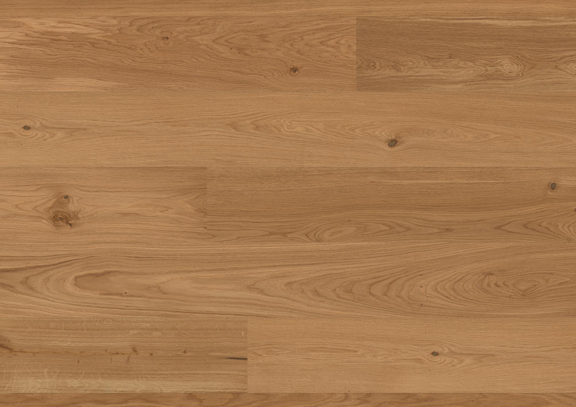 Casapark 209 Click | Eiche | Natur