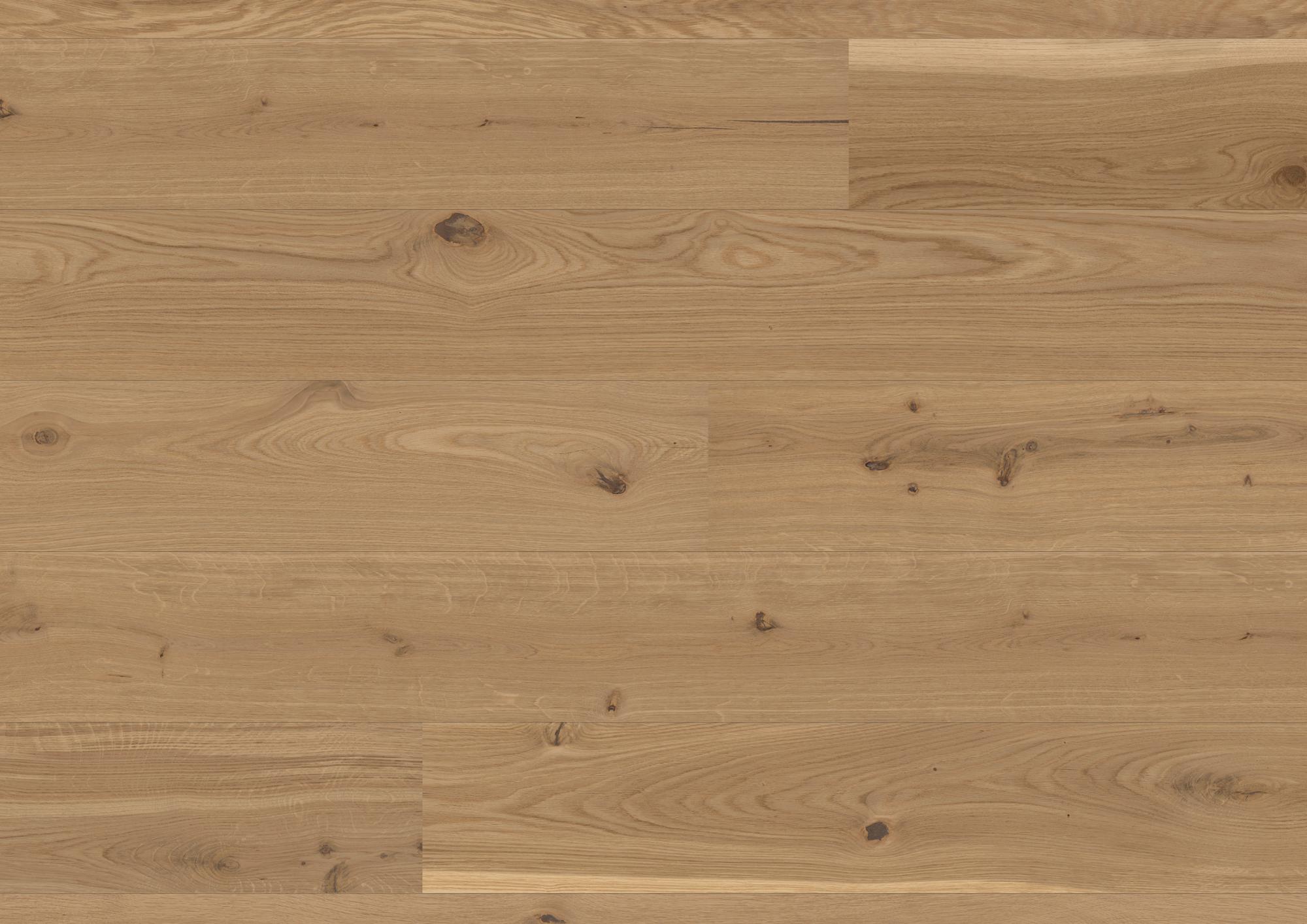 Casapark 209 Click | Eiche | Avorio