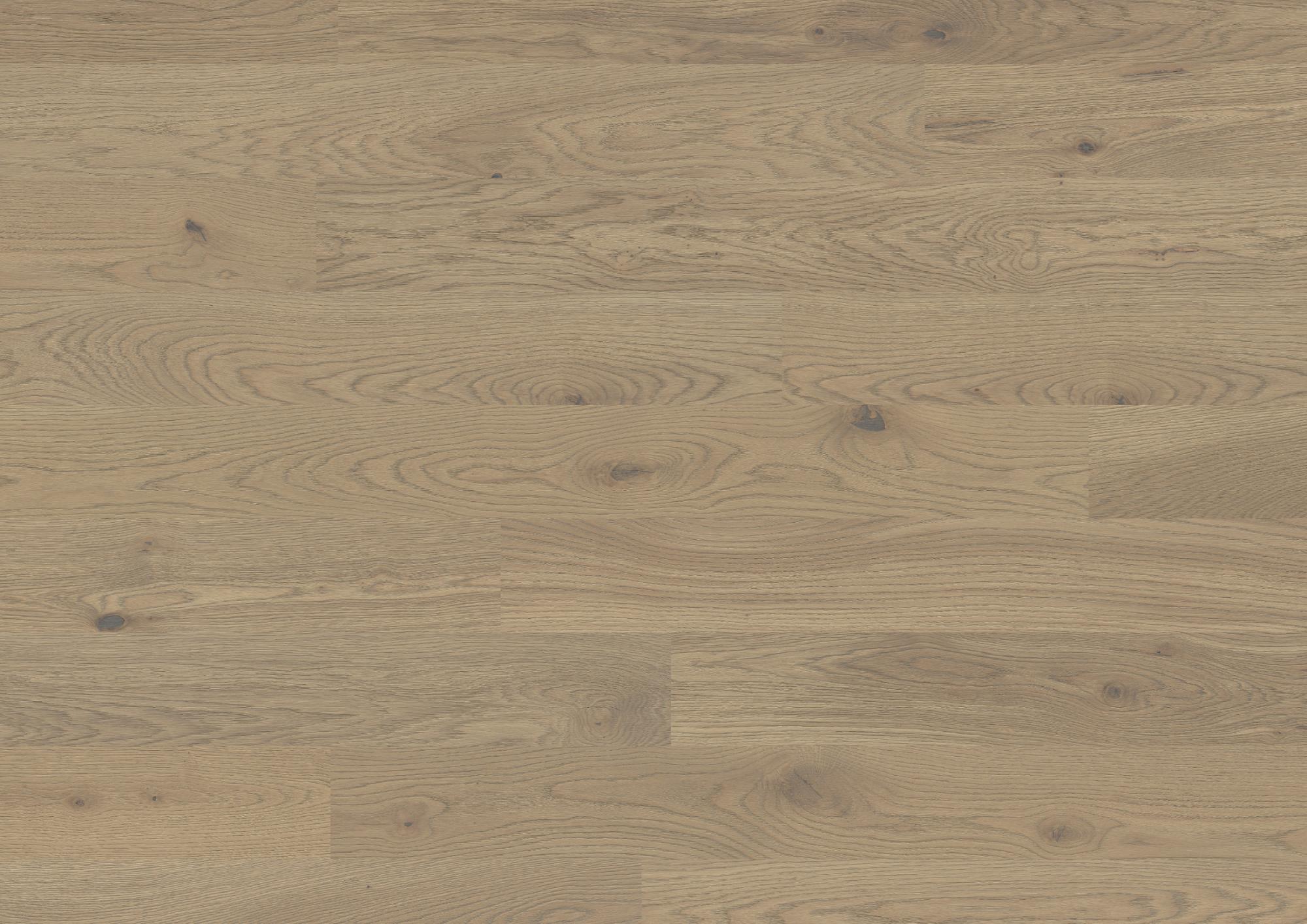 Trendpark 1390 | Oak | Sasso