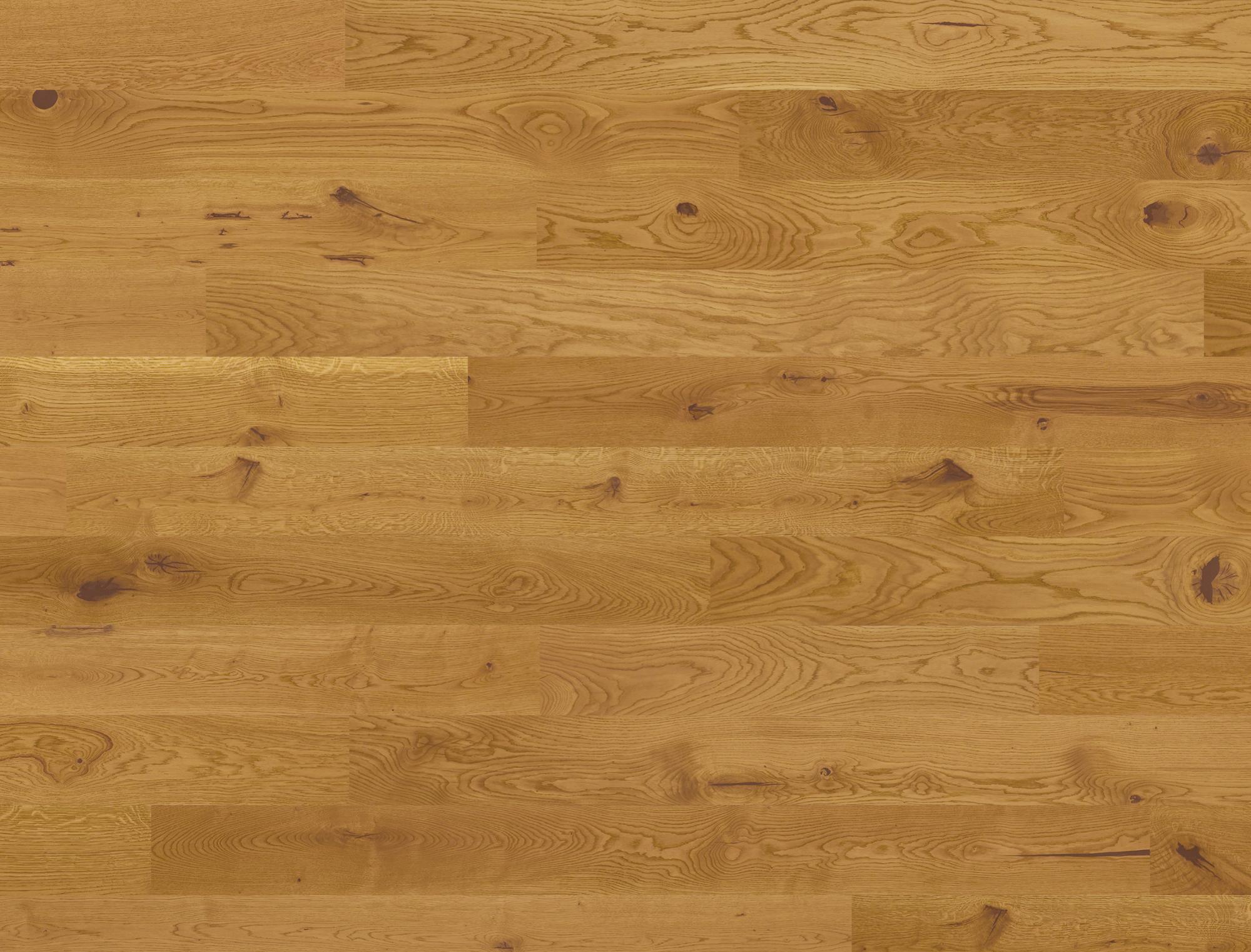 Studiopark | Eiche | Mandorla