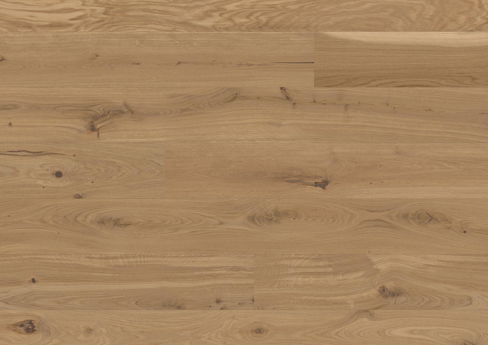 Casapark 181 Click | Eiche | Avorio