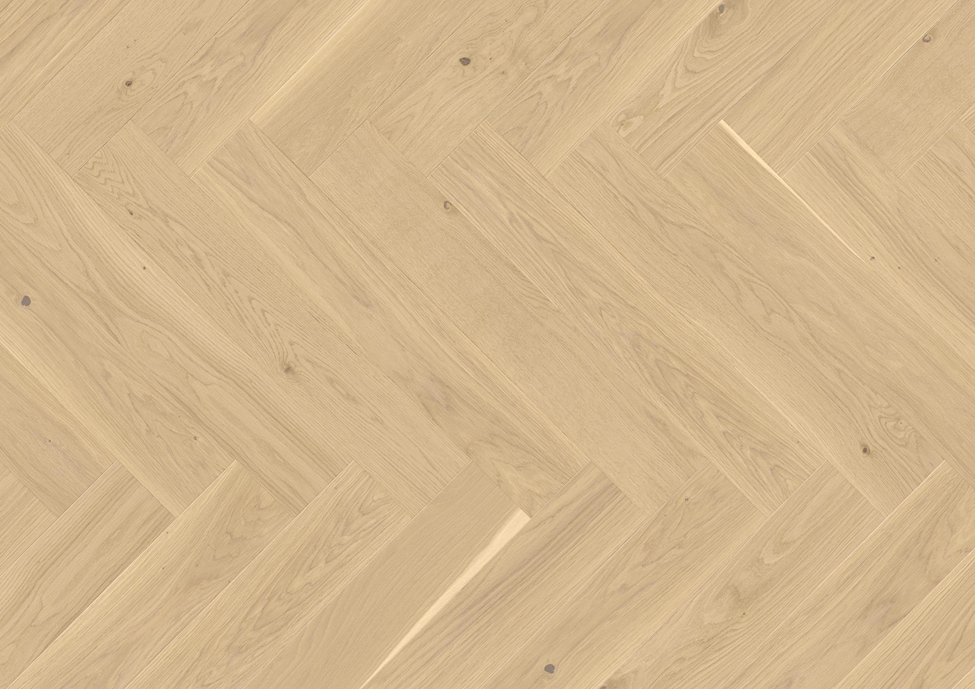 Vectorpark | Eiche | Farina