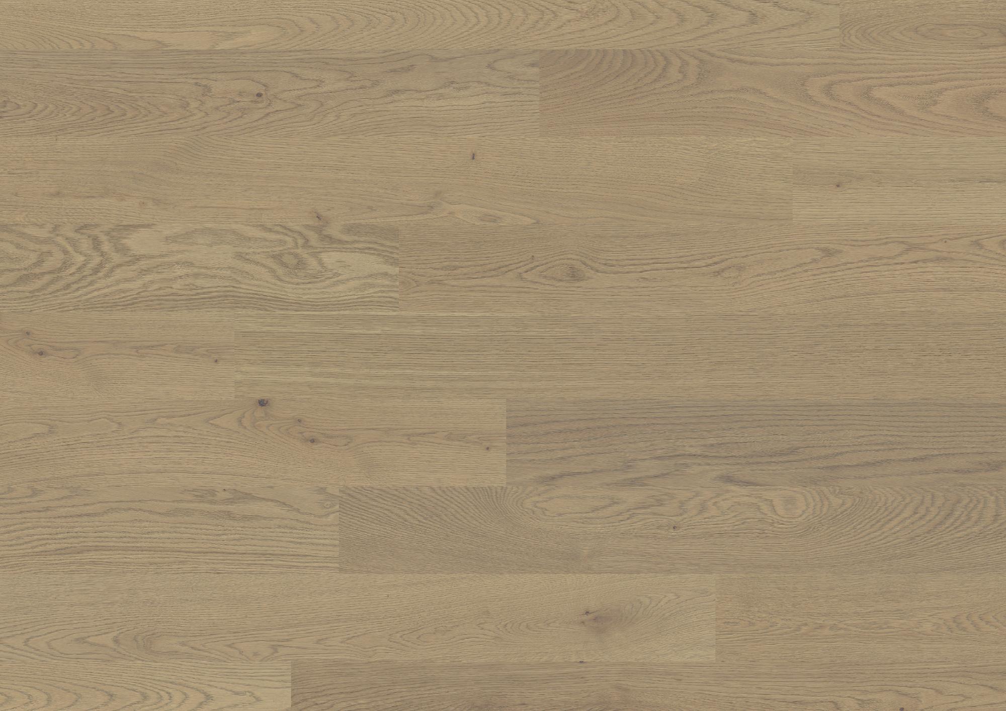 Trendpark 1390 | Oak | Sasso