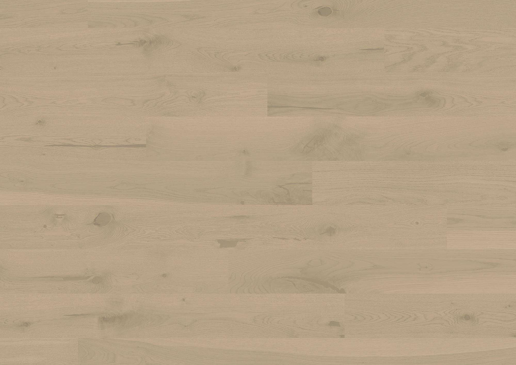 Trendpark 1390 | Eiche | Sasso