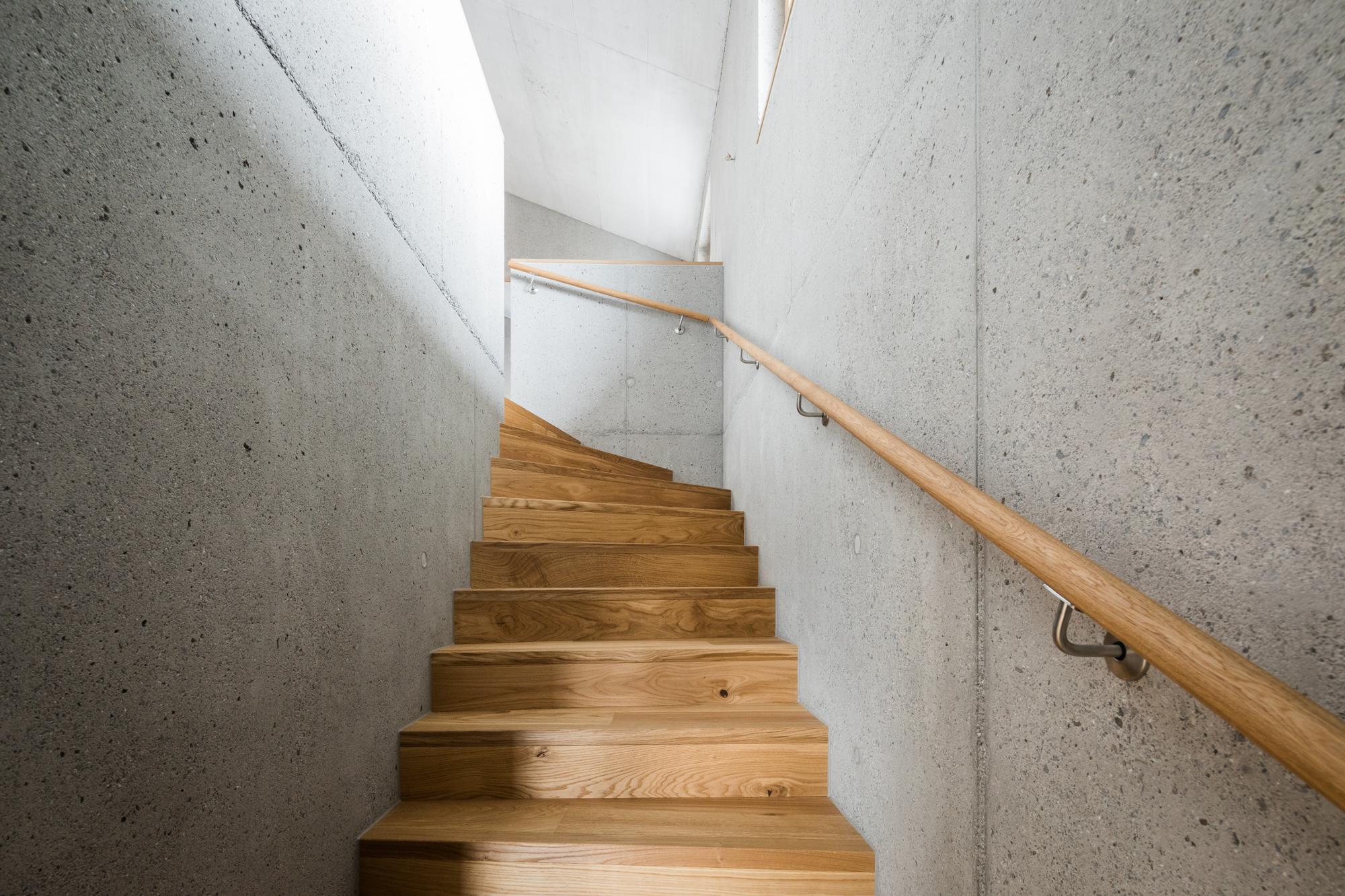 Studiopark | Eiche | Natur