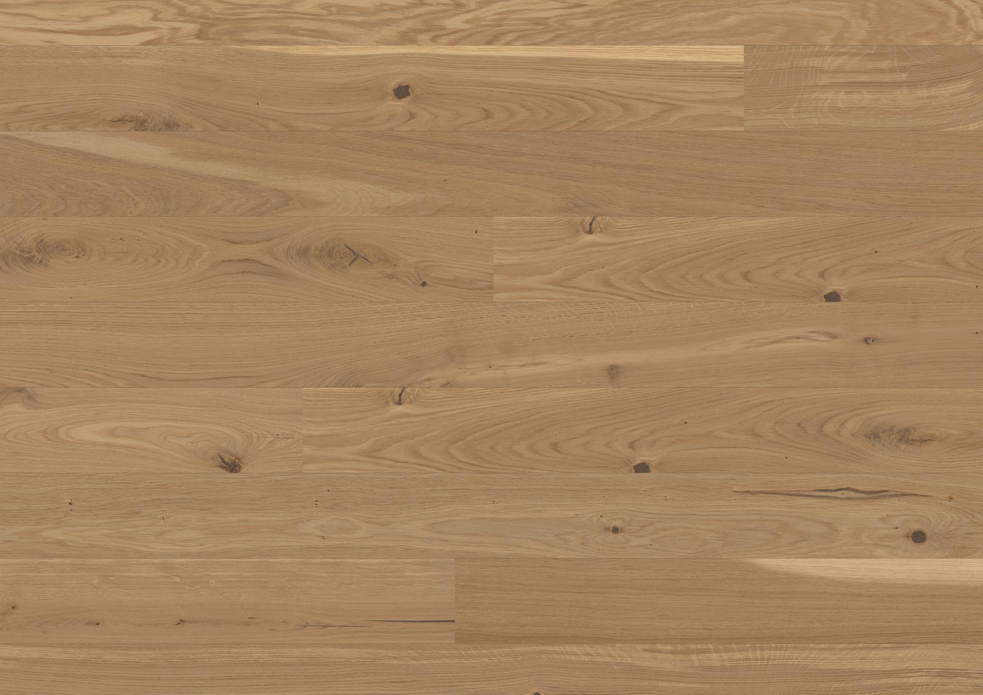 Casapark 138 Click | Eiche | Avorio