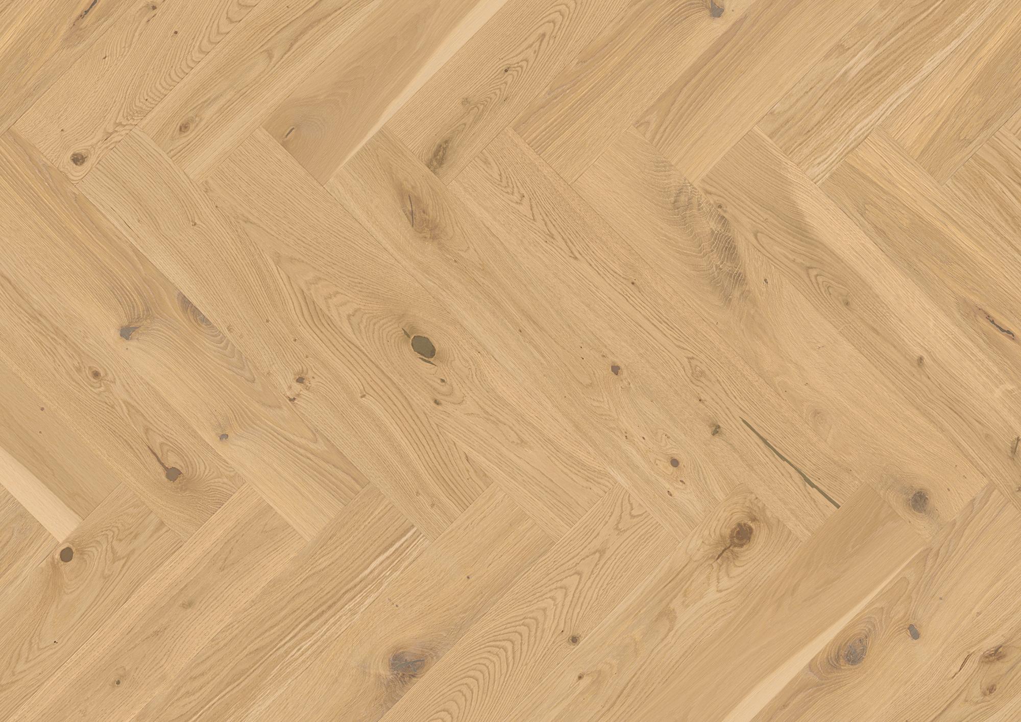 Vectorpark | Rovere | Crema