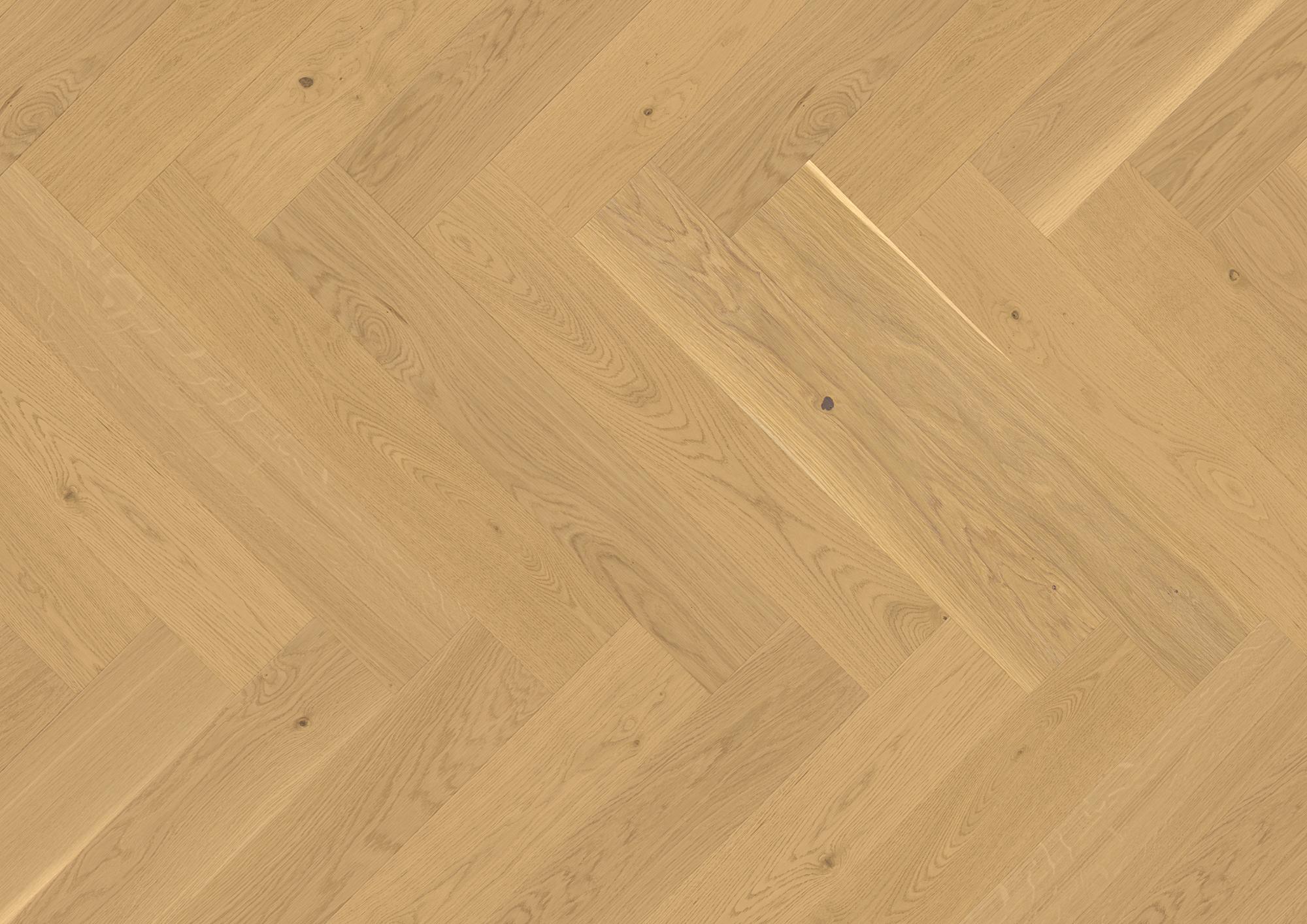 Vectorpark | Oak | Avorio