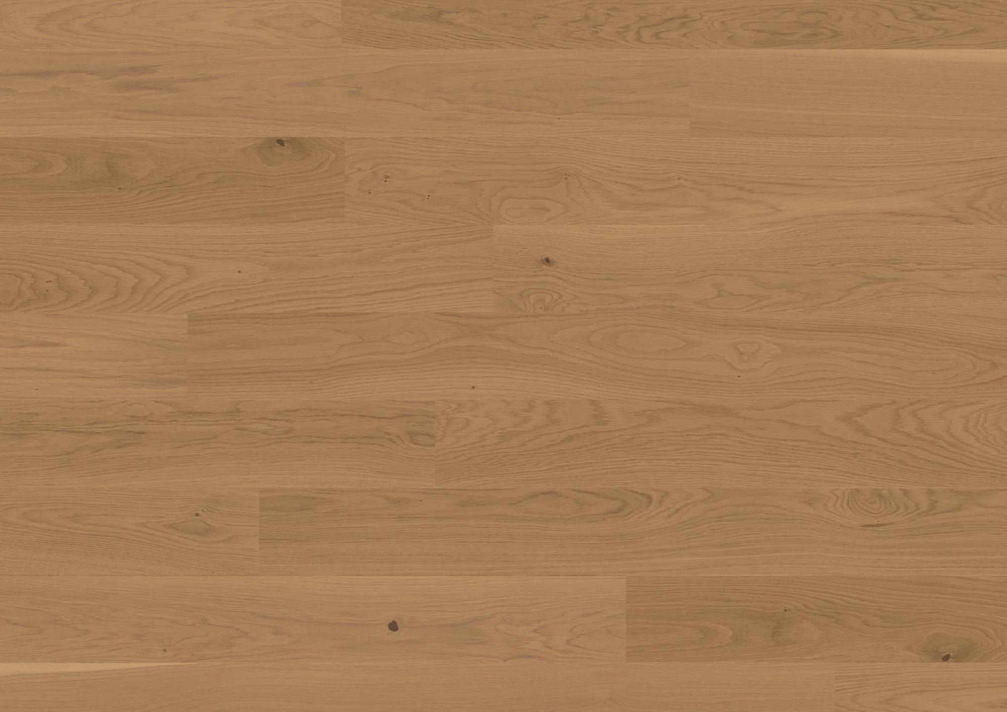 Trendpark 1390 | Oak | Mandorla