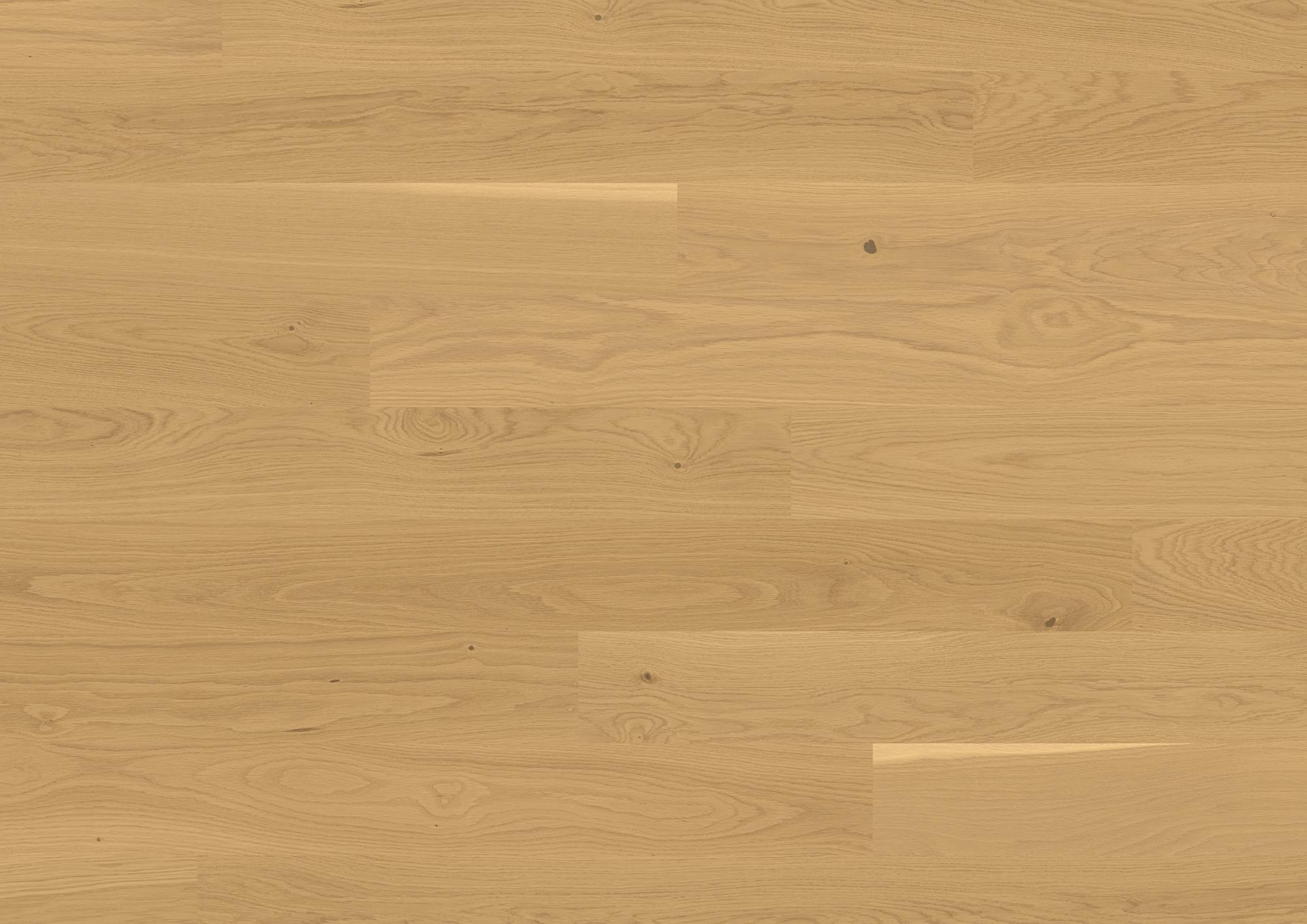 Trendpark 1390 | Chêne | Avorio