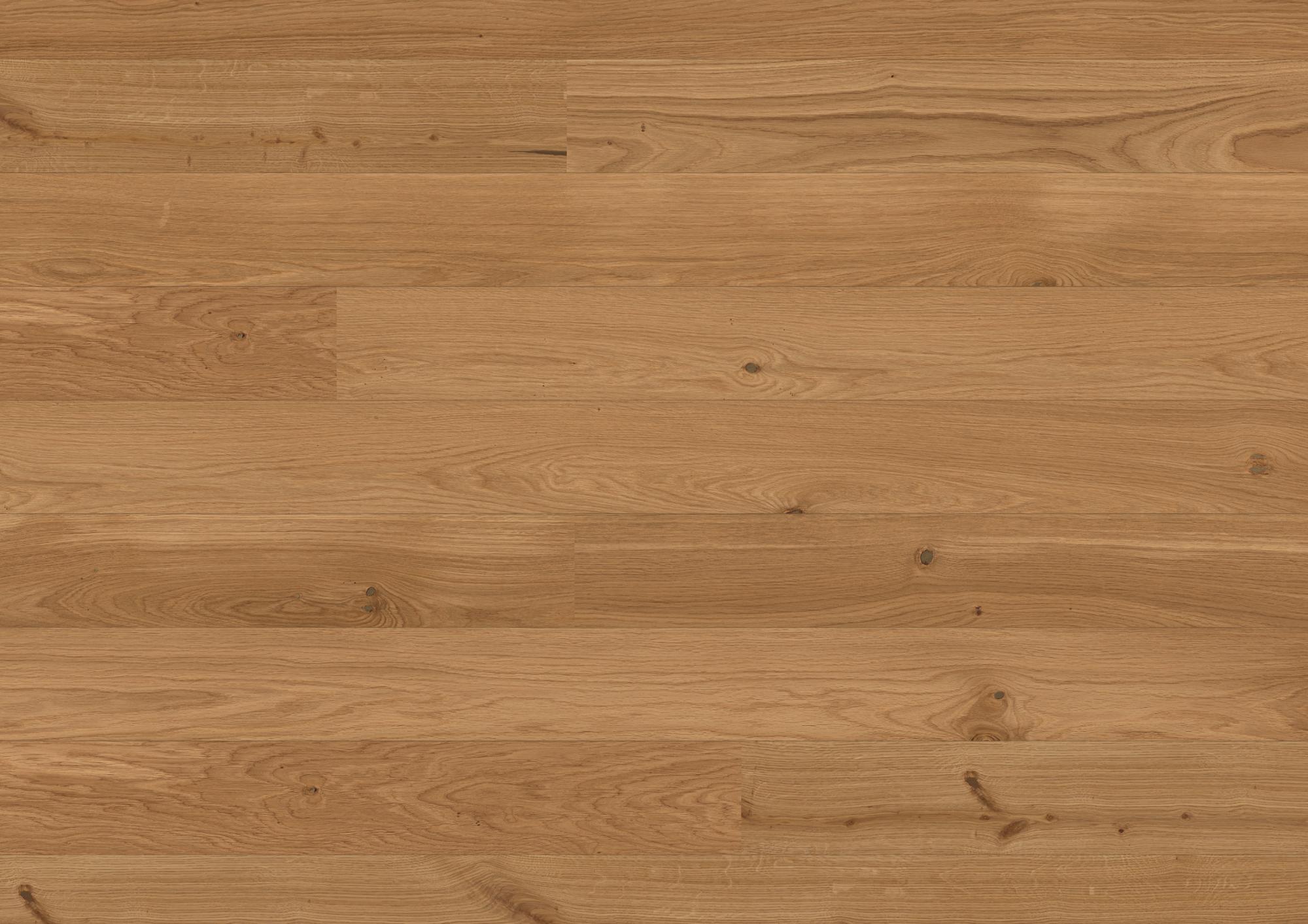 Casapark 138 Click | Oak | Nature