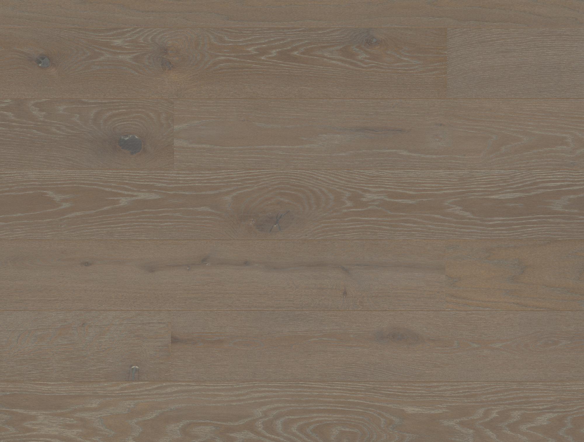 Studiopark | Eiche | Farro