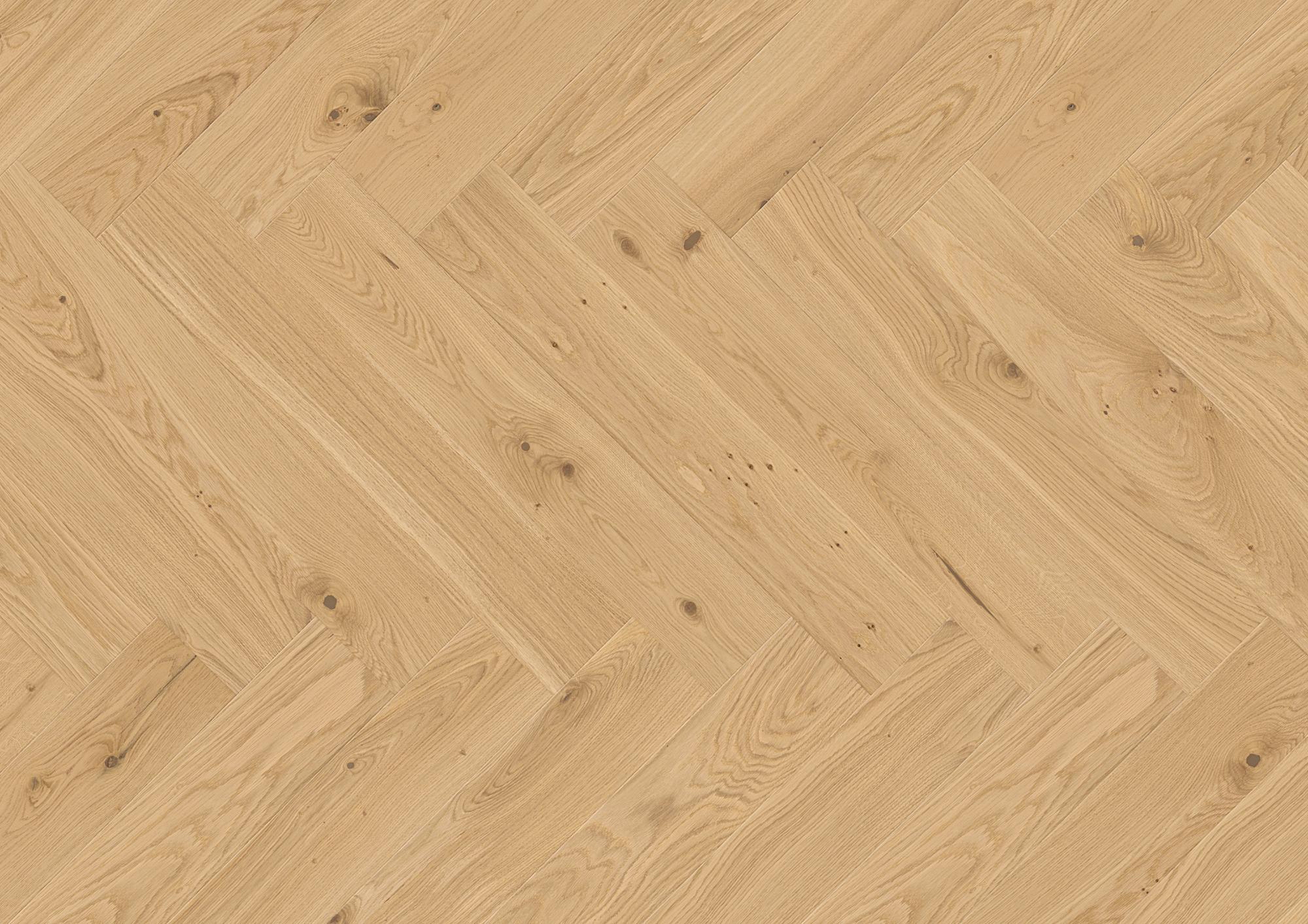Vectorpark | Eiche | Crema Vectorpark | Eiche | Crema