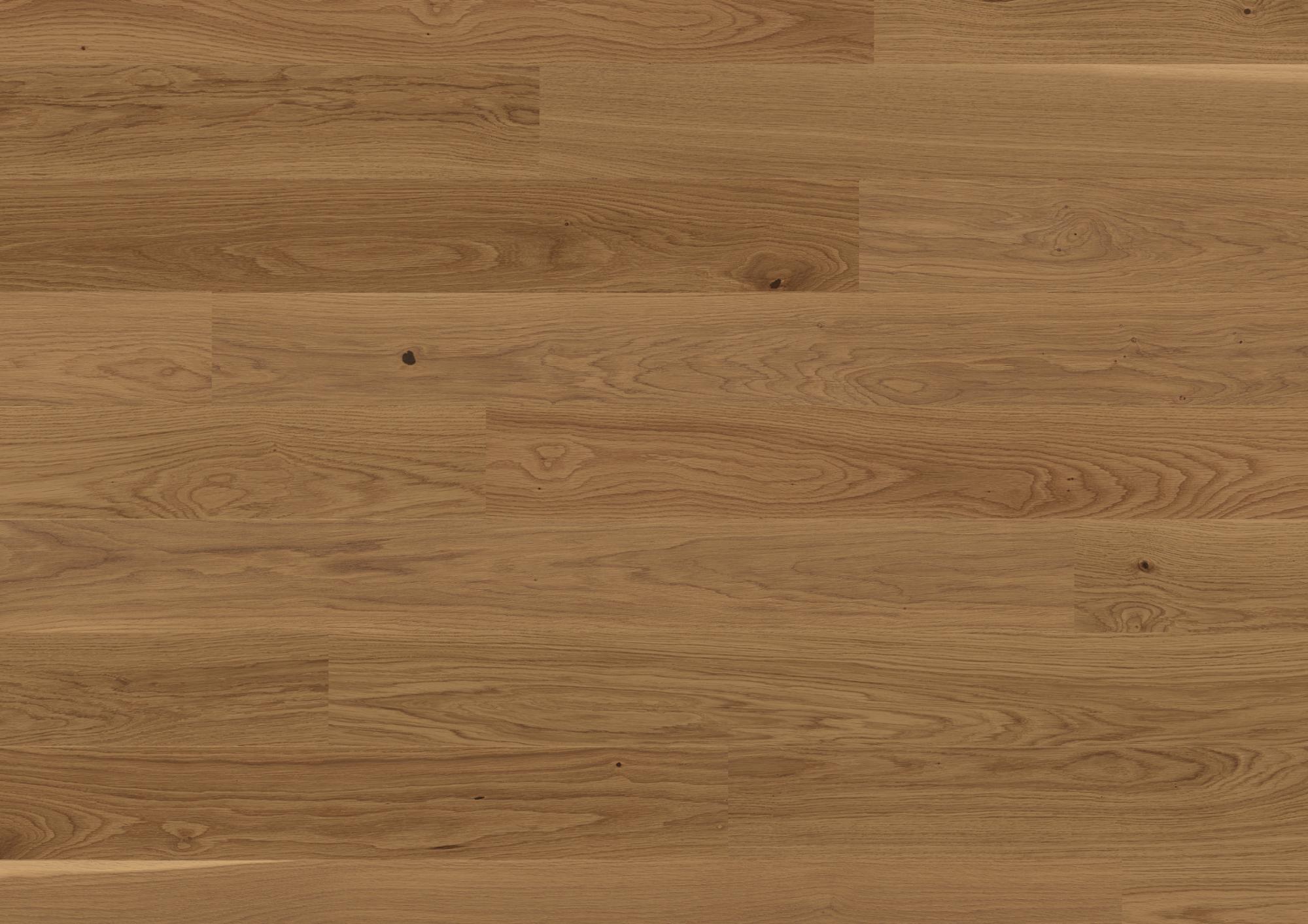 Trendpark 1390 | Eiche | Mandorla